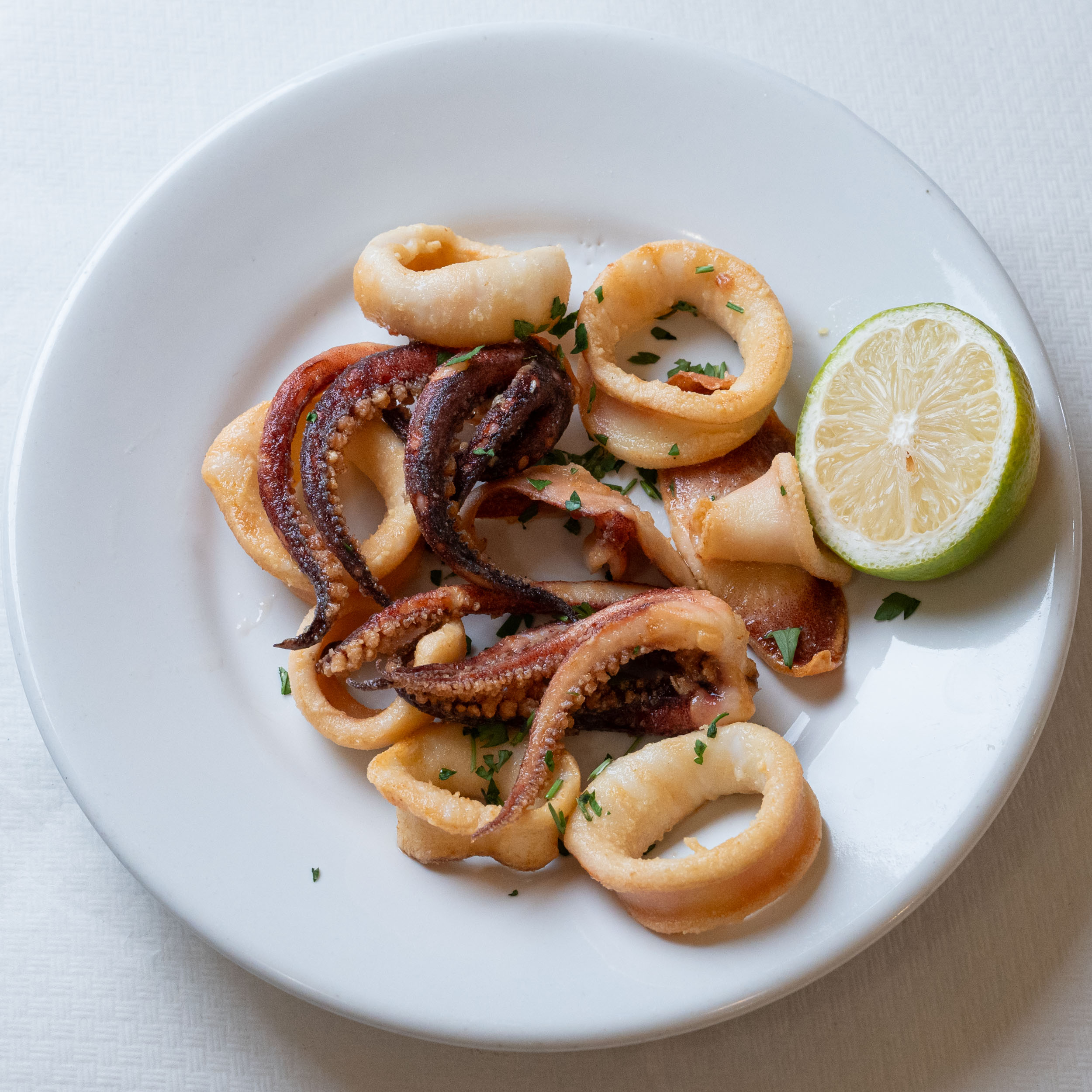 Calamari fritti o grigliati